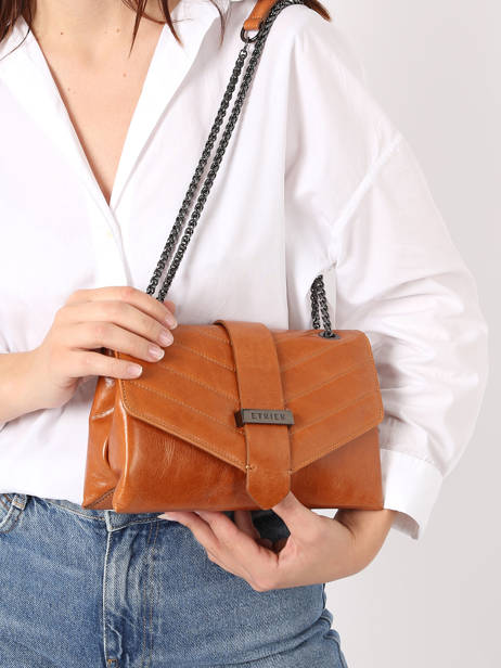 Crossbody Bag Jana Amour Leather Etrier Brown jana amour EJAM002T other view 1