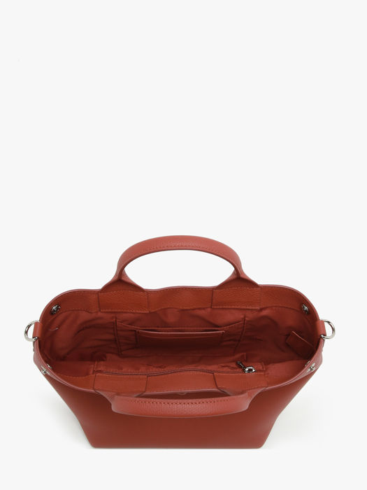 Longchamp Le roseau Handbag Brown