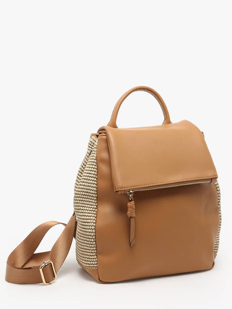 Backpack Torrow Brown nice TNIC03 other view 2