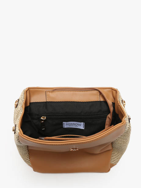 Backpack Torrow Brown nice TNIC03 other view 3