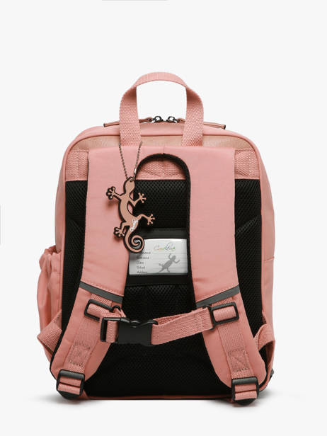 2-compartment Backpack Cameleon Pink vintage fantasy SD33 other view 4