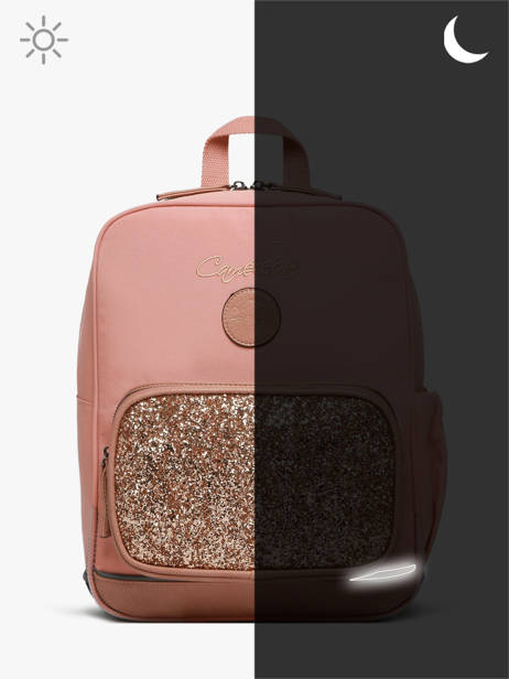 2-compartment Backpack Cameleon Pink vintage fantasy SD33 other view 7